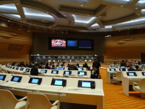 at the CRPD session